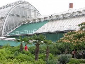 The palm house
